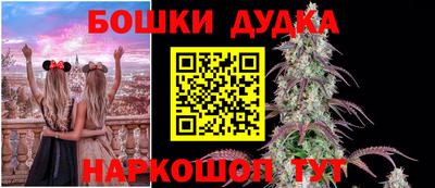 индика Можга