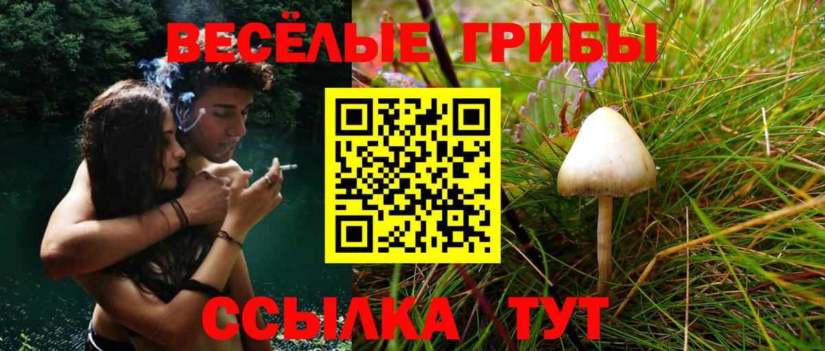 Псилоцибиновые грибы ЛСД Гуково