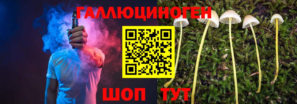 Псилоцибиновые грибы мицелий  Псилоцибиновые грибы Psilocybine cubensis  Вход с VPN  Гуково 